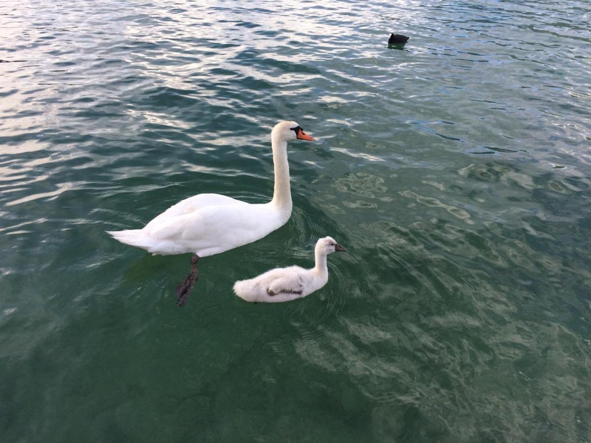 Lac Annecy Plage Privee, Duplex Baie Des Voiles Дюэн Экстерьер фото